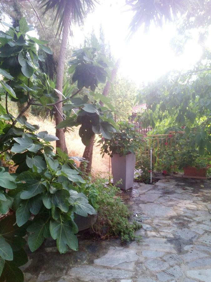 Kampi Double Storey House In The Village Nicosia Exterior photo